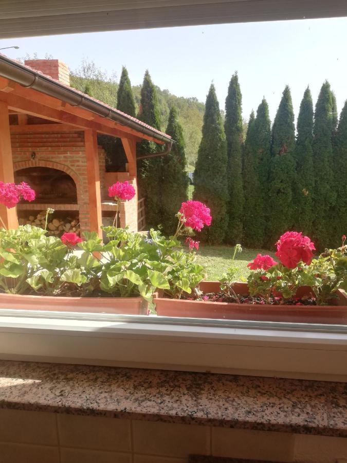 Holiday Homer Kuca Na Obali Vrbasa Banja Luka Luaran gambar